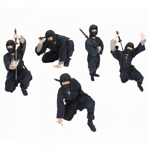 ninjas network security